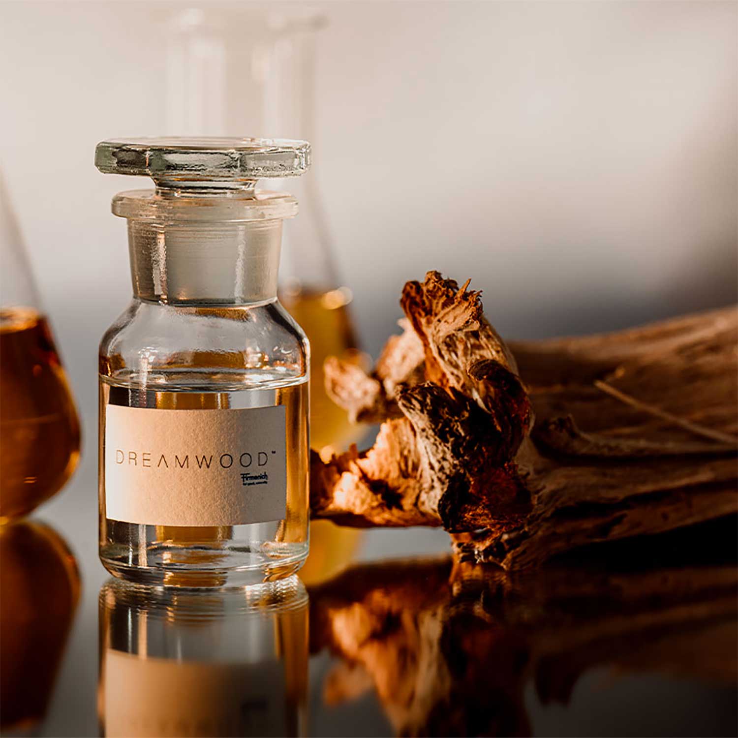 Dreamwood – the woody scent that dreams are made of