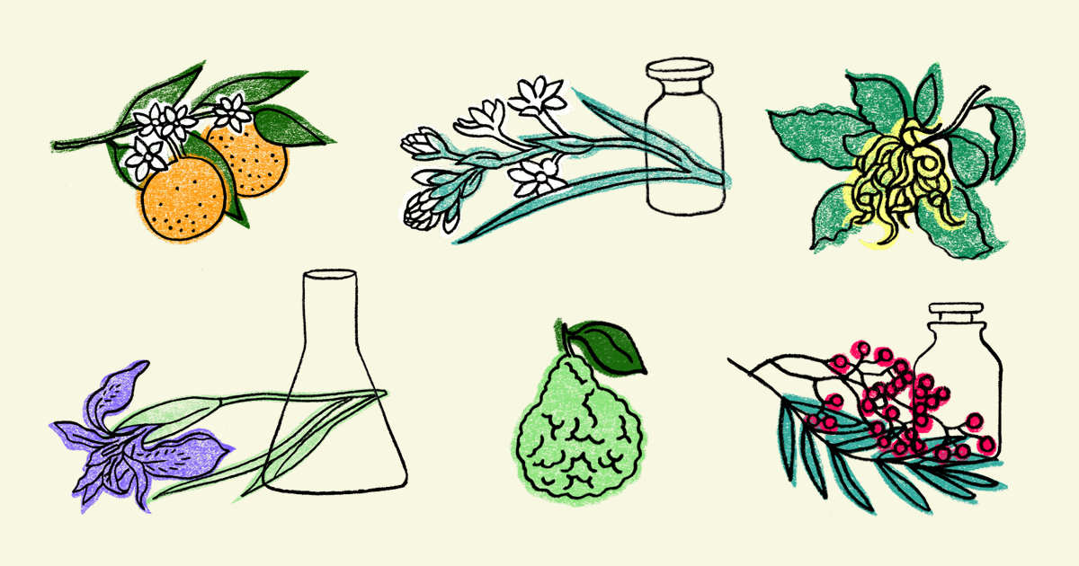 The many facets of natural perfumery: some useful definitions
