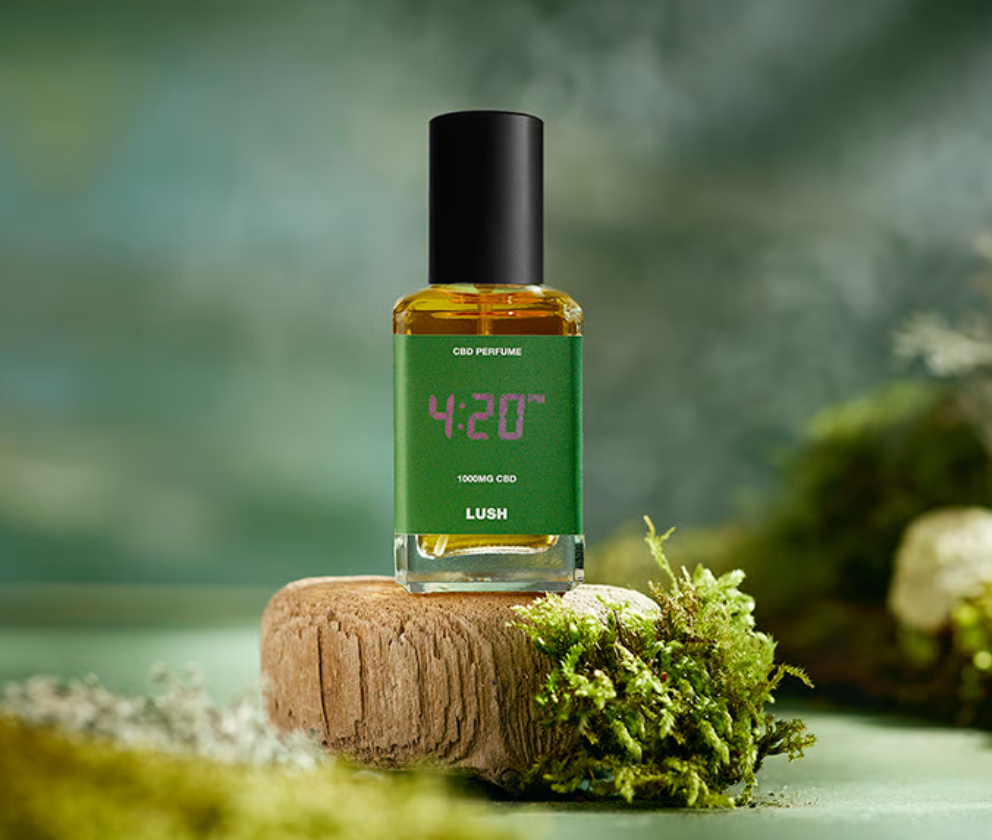 Huile parfumée Concentré de parfum 10ml - Choisissez votre parfum – Bougies  du Monde