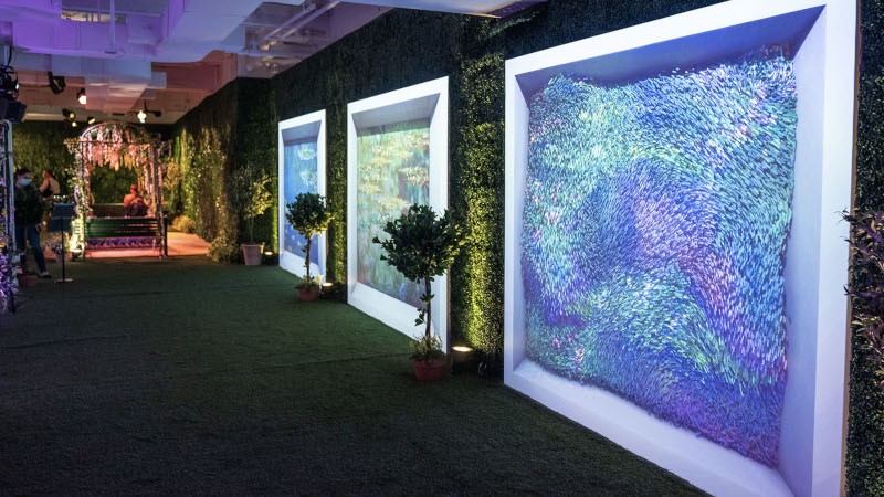 Monet’s garden, the immersive experience in New York