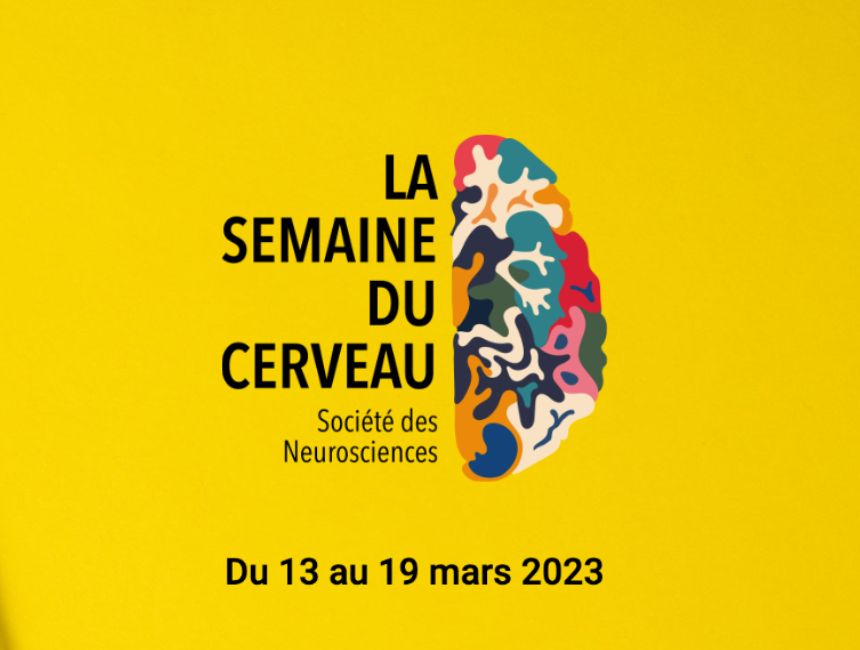 Semaine du cerveau : conférence-dégustation « L’odorat, émotion et mémoire » à Igny