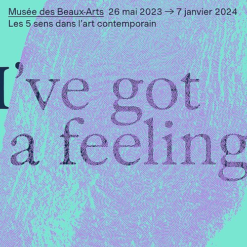 I’ve Got a Feeling, les cinq sens dans l’art contemporain à Angers