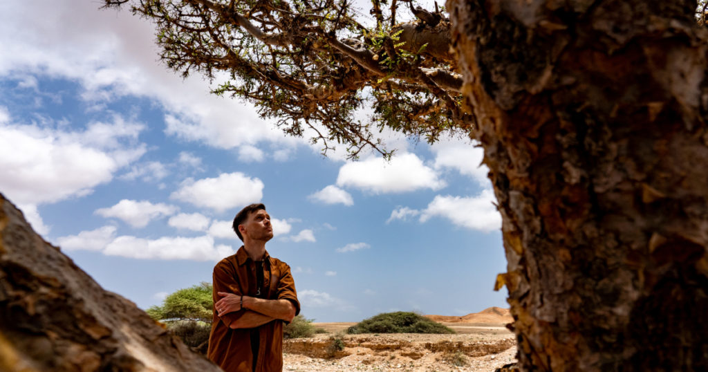 Renaud Salmon : « Le Wadi Dawkah sert de projet pilote pour l’industrie de l’encens à Oman »