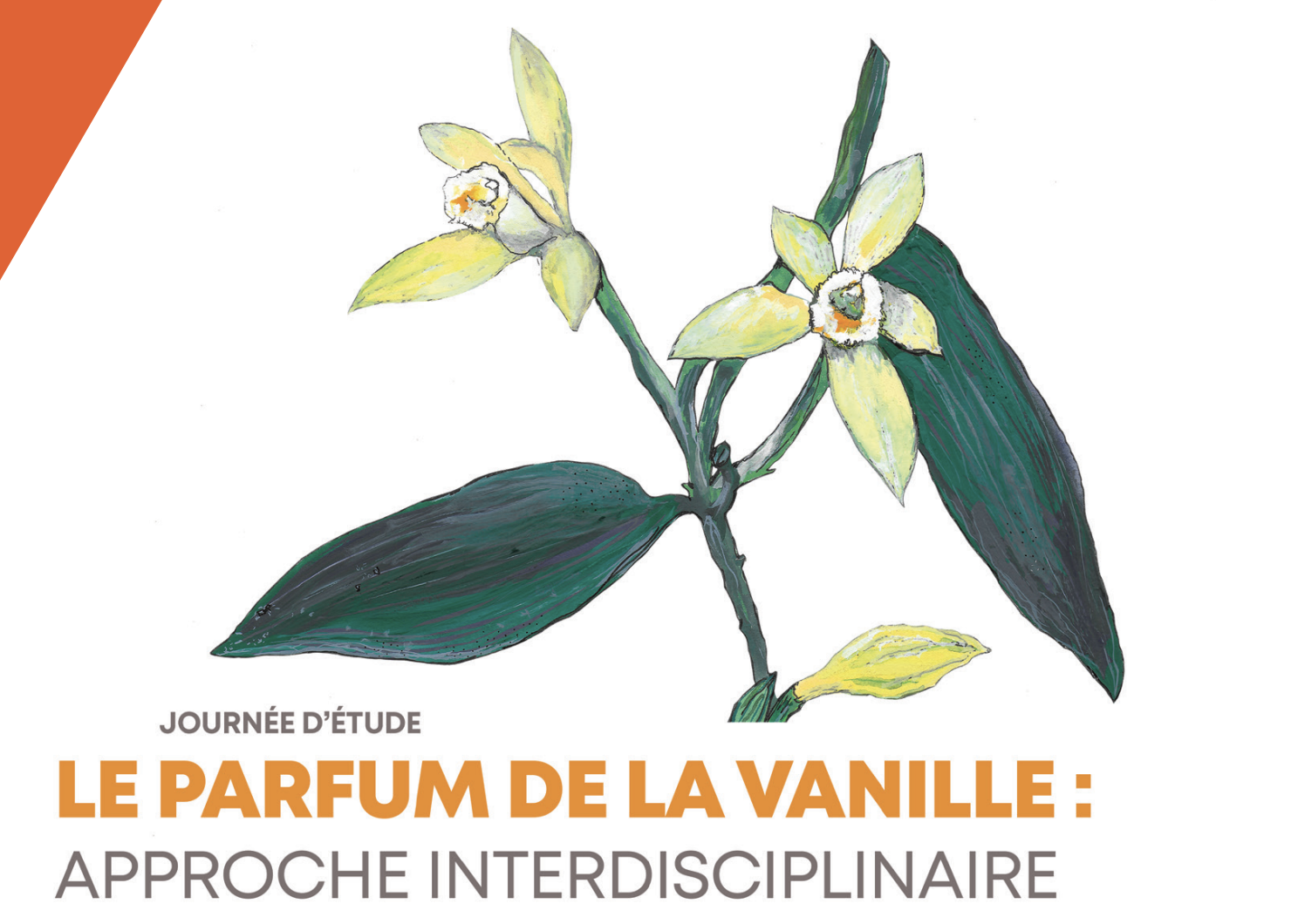 Journée d’étude : le parfum de la vanille, à Grenoble