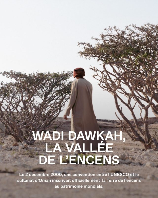 Wadi Dawkah, La vallée de l’encens⁠
⁠
Le 2 décembre 2000, une convention entre l’UNESCO et le sultanat d’Oman inscrivait officiellement au patrimoine mondial la Terre de l’encens, composée⁠
de quatre sites emblématiques dans la région du Dhofar, au sud-est de la péninsule Arabique dont le Wadi Dawkah, une vallée de 1 500 hectares où se⁠ trouvent près de 5 000 arbres à encens (Boswellia sacra). Depuis plusieurs millénaires, la précieuse résine joue en effet un rôle central dans le⁠ développement des civilisations, des routes maritimes, du commerce international et, bien sûr, dans l’histoire de la parfumerie.⁠
.⁠
[Exposition] Partez à la découverte du Wadi Dawkah, Terre de l’encens à la Grasse Perfume Week du 3 au 5 juillet 2025⁠
#wadidawkah #amouage #frankincense #parisperfumeweek #grasseperfumeweek⁠
.⁠
@wadidawkah @amouageofficial @perfumeweek