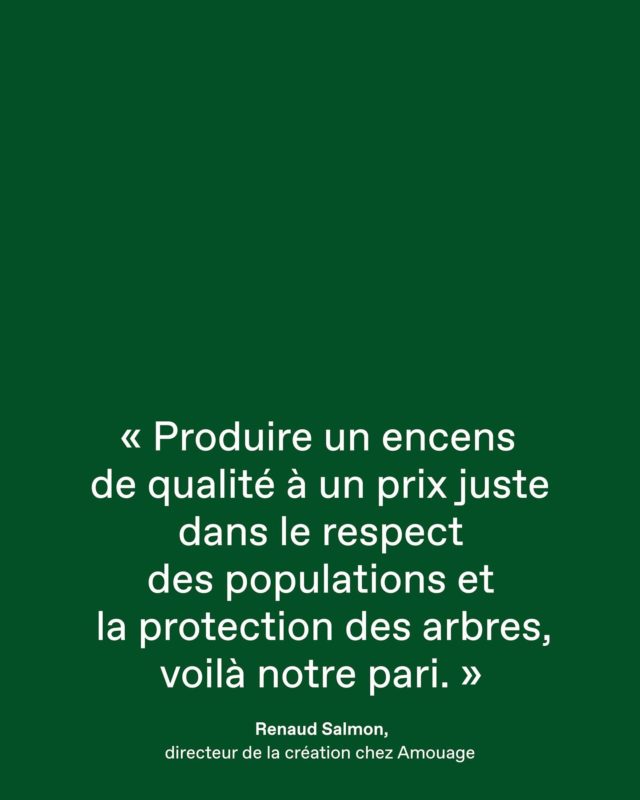 Dominique Roques, consultant en sourcing de produits naturels, auteur de Cueilleur d’essences et du Parfum des forêts.⁠
« Le Boswelia Sacra est sous pression à Oman pour deux raisons principalement. La première, la plus spectaculaire à mon avis, ce sont les chameaux. 
Ils ⁠mangent tout ce qui est dans le désert et, dès lors qu’un arbre à encens commence à produire des pousses tendres, l’animal s’en délecte. Et ça, c’est ⁠terrible... Le second problème est lié à la pression de l’urbanisation sur des zones sauvages. Mais l’existence du projet Wadi Dawkah a enclenché la mise en ⁠place d’un programme de préservation et de transplantation des arbres venant ainsi en soutien à la création d’une filière. »⁠
.⁠
Extrait de l’interview avec Dominique Roques, consultant en sourcing de produits naturels, auteur de Cueilleur d’essences et du Parfum des forêts, ⁠retrouvez la en intégralité sur notre site en français et anglais. 
.
Lien en bio
.
[Exposition] Partez à la découverte du Wadi Dawkah, Terre de l’encens à la Grasse Perfume Week du 3 au 5 juillet 2025.⁠
.⁠
✍️ : @edebonneval ⁠
@wadidawkah @amouageofficial @perfumeweek @dominique__roques⁠
.⁠
#wadidawkah #amouage #frankincense #parisperfumeweek #grasseperfumeweek