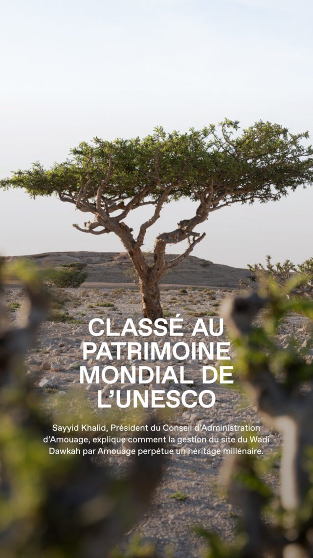 Sayyid Khalid, Président du Conseil d’Administration d’Amouage, démontre comment la gestion du site du Wadi ⁠Dawkah par Amouage perpétue ⁠un héritage millénaire. Produire un encens de qualité exceptionnelle ⁠
et créer une ⁠destination touristique incontournable offrent aux visiteurs⁠ la possibilité de découvrir toute les subtilités 
de cet « or du ⁠désert ».⁠
.⁠
[Exposition] Partez à la découverte du Wadi Dawkah, Terre de l’encens à la Grasse Perfume Week du 3 au 5 juillet 2025.⁠
.⁠
Credits: Nez⁠
Réalisation: Eléonore de Bonneval⁠
Images: Ateeb Ali⁠
Direction artistique: Mathieu Chévara⁠
Montage: Jean-Philippe Derail⁠
Sound design: Perfecting Sound Forever⁠
Design graphique: Vianney Bureau, Mikaël Charbonnier⁠
Amouage: Renaud Salmon, Andras Komar, Dominique Roques, Matthew Wright, Rayyan Alabdullatif⁠
Remerciements: Arielle Lauze⁠
.⁠
@wadidawkah @amouageofficial @perfumeweek⁠
.⁠
#wadidawkah #amouage #frankincense #parisperfumeweek #grasseperfumeweek