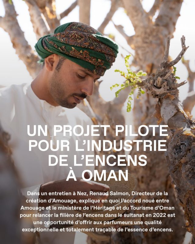Dans un entretien à Nez, Renaud Salmon, Directeur de la création d’Amouage, explique en quoi l’accord noué entre Amouage et le ministère de l’Héritage et ⁠du Tourisme d’Oman pour relancer la filière de l’encens dans le sultanat en 2022 est une opportunité d’offrir aux parfumeurs une qualité exceptionnelle et ⁠totalement traçable de l’essence d’encens.⁠
.⁠
Retrouvez l’intégralité de notre article sur notre site en français et anglais. Lien en bio.⁠
.⁠
[Exposition] Partez à la découverte du Wadi Dawkah, Terre de l’encens à la Grasse Perfume Week du 3 au 5 juillet 2025.⁠
.⁠
Textes: @yosparis31 @wadidawkah @amouageofficial @perfumeweek ⁠
.⁠
#wadidawkah #amouage #frankincense #parisperfumeweek #grasseperfumeweek