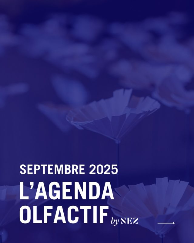 🦋Agenda - 10 activités à découvrir en septembre 🦋

En  vacances, au bureau, à l’école ? 

À l’occasion de la rentrée de septembre qui approche, nous vous avons soigneusement sélectionné 10 activités sous le signe du parfum à découvrir en France et en Europe.

Une sélection by nez  pour petits et grands avec ou sans réservation et pour tous les budgets !
.
Prêts ? À vos agendas ! Passez une belle rentrée !
.
Dites nous en commentaires l’activité qui vous attire le plus 😍 ⬇️
.
.
.
 #culture #fragrance #event #septembre