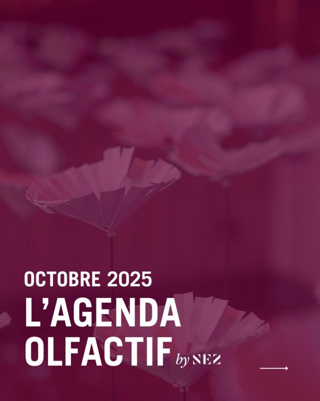 🍂 Agenda - 10 activités à découvrir en octobre 🍂

L’agenda du mois d’octobre est enfin là !
La rentrée, l’automne.. et de belles activités en intérieur et en extérieur (oui) à découvrir ! 

Nous vous avons soigneusement sélectionné 10 activités sous le signe du parfum à découvrir en France et en Europe.

Une sélection by nez  pour petits et grands avec ou sans réservation et pour tous les budgets !
.
Prêts ? À vos agendas ! 
.
Dites-nous en commentaires l’activité qui vous attire le plus 😍 ⬇️
.
.
.
 #culture #fragrance #event #octobre